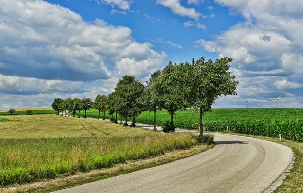 Wallpaper road, field, summer, the sky, trees