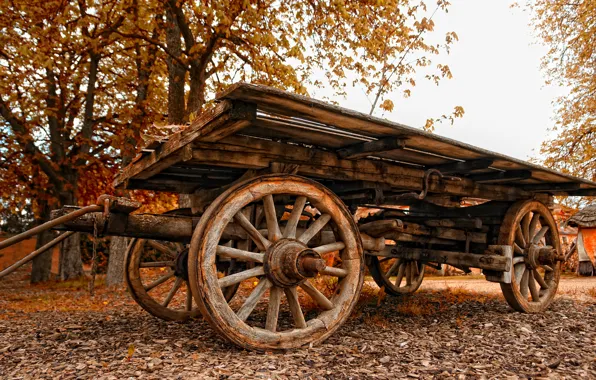Autumn, wagon, old