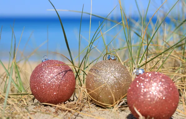 Balls, decoration, tropics