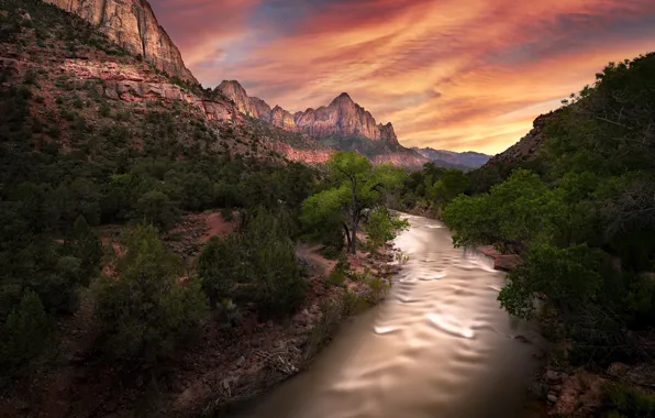 Picture nature, Zion National Park, Virgin River