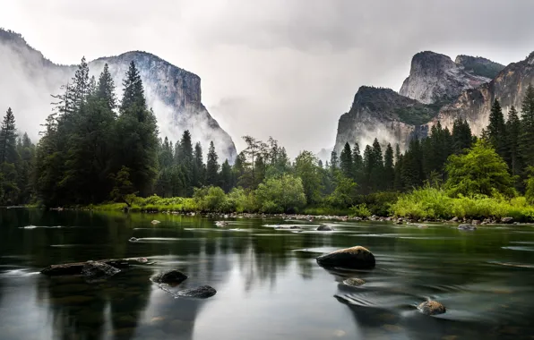 Forest, mountains, river, USA, California, Yosemite National Park, Mariposa