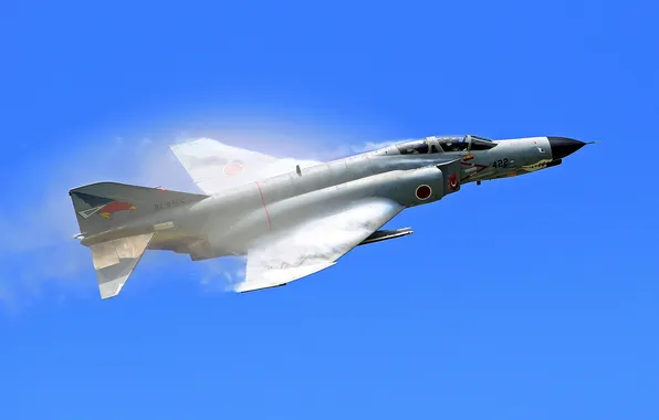 Fighter, multipurpose, Phantom II, F-4E