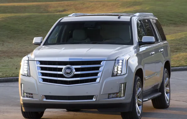 Picture Cadillac, Escalade, '2014