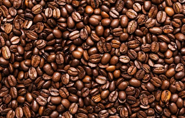 Coffee, seeds, toasted