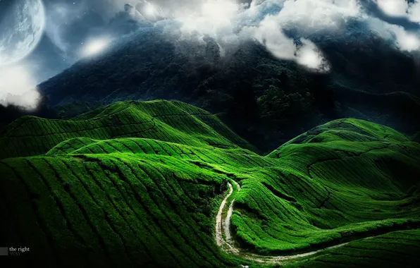Road, green, hills, planet