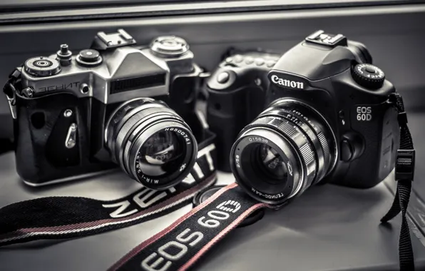 The world, the camera, lens, canon, Zenit, Helios