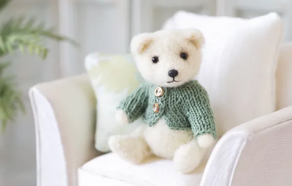 Toy, chair, bear, bear