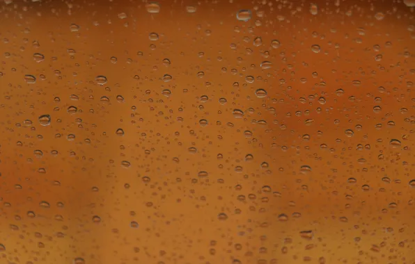 Picture water, drops, background, wet
