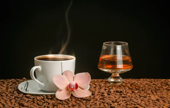 Flowers, wine, glass, coffee, hot, grain, pair, Cup