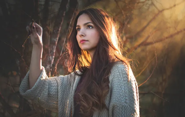 Forest, girl, branches, mood, portrait, brunette, long-haired