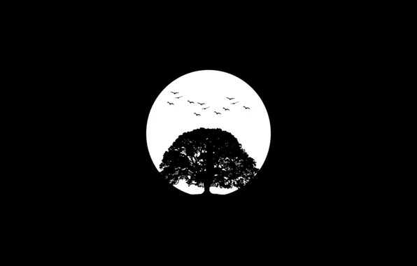 Night, tree, the moon