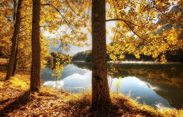 River, trees, water, beautiful, leaves, hills, sunrise, reflection