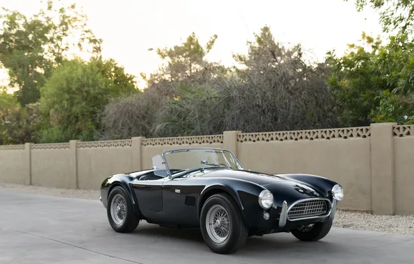 Black, Shelby, retro cars, 1963, Shelby Cobra, the only instance, Cobra 289, sports cars