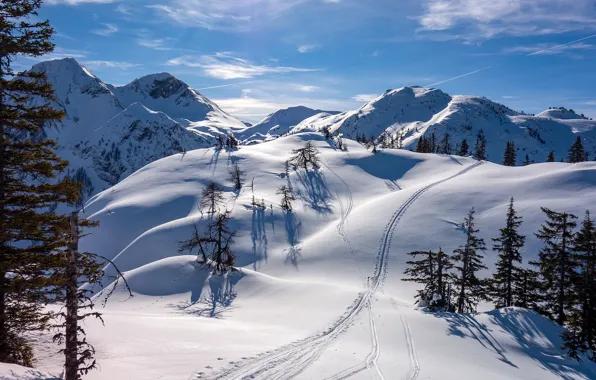 Picture winter, the sun, snow, mountains, Austria