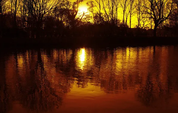 Water, reflection, The sun