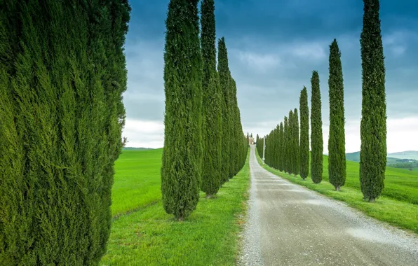Road, field, the sky, trees, clouds, Italy, cypress, Tuscany