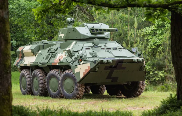 Picture Ukraine, OKB imeni Morozova, CPWS-30, BTR-3E