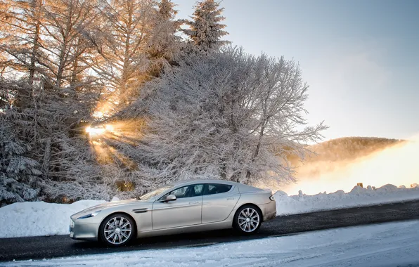 Picture winter, the sky, the sun, snow, trees, Aston Martin, Rapide, sedan