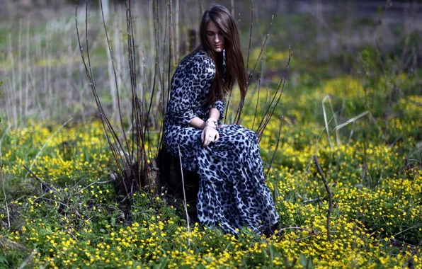 Picture forest, flowers, pose, Girl, dress