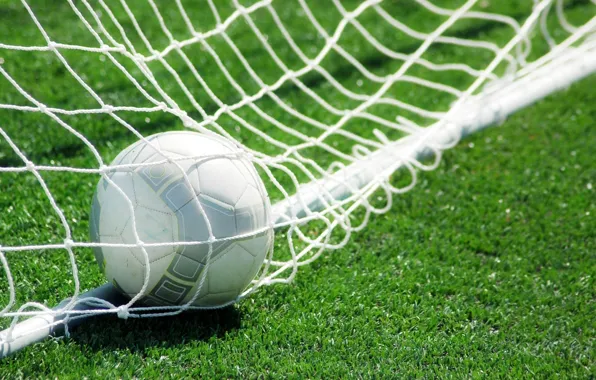 Grass, mesh, lawn, football, the ball, gate, goal