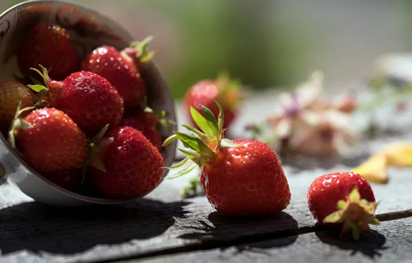Picture macro, berries, strawberry