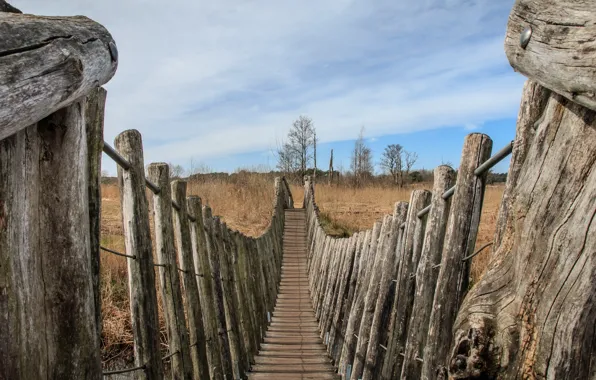 The sky, bridge, nature