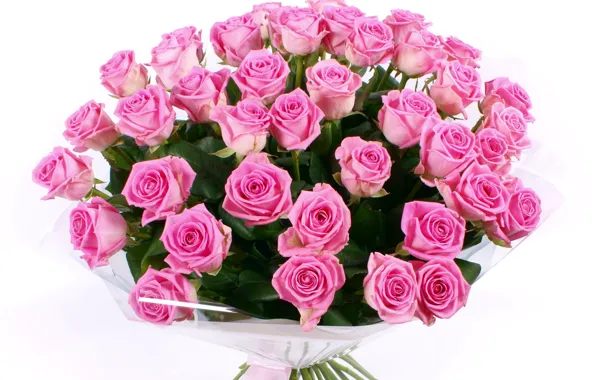 Flower, flowers, roses, bouquet, pink, beautiful