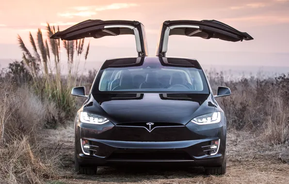 Tesla, Model X, electic car