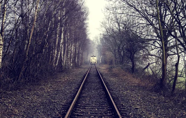 Picture fog, train, railroad