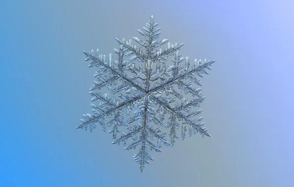 Macro, background, pattern, snowflake