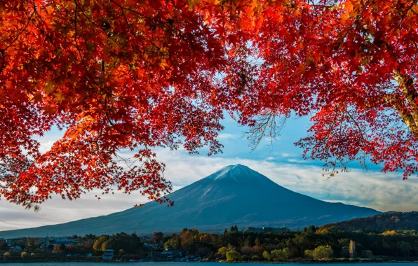 Autumn, mountains, Japan, maple, Fuji