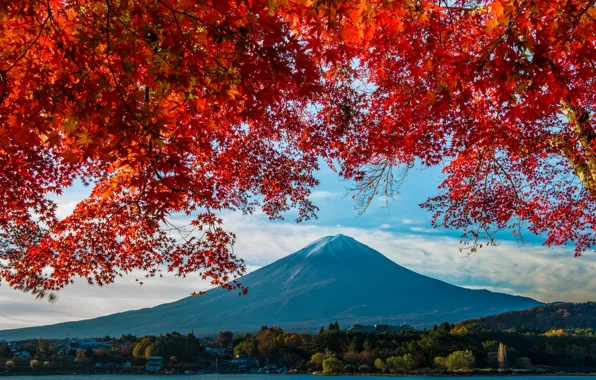 Autumn, mountain, Japan, maple, Fuji