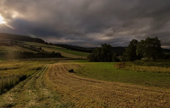 Field, autumn, forest, the sky, grass, the sun, rays, light