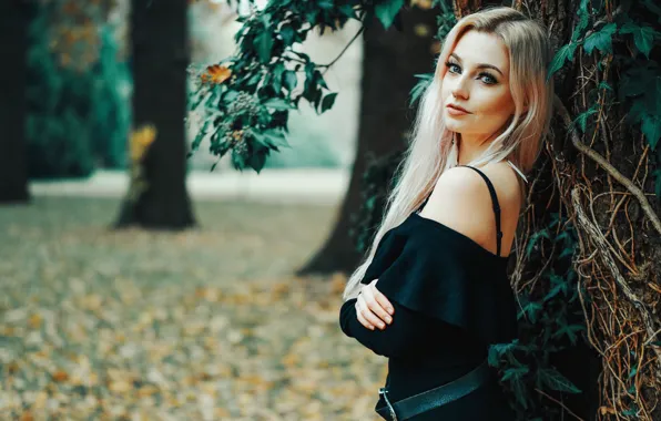 Picture look, girl, pose, tree, blonde, shoulder, bokeh, Loba