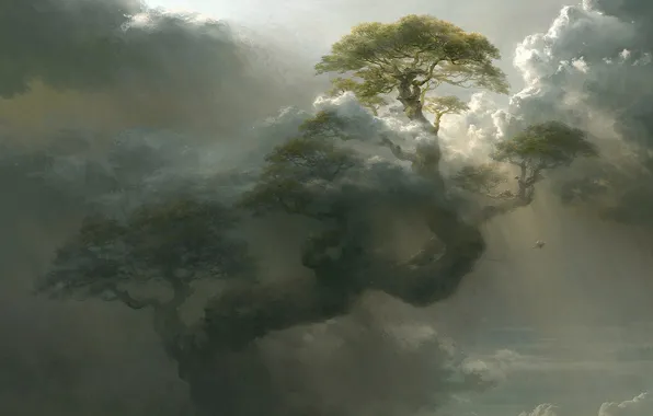 Clouds, tree, height, art, giant