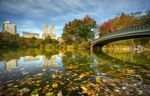 Picture bridge, river, New York, NYC, Central Park, Bow Bridge
