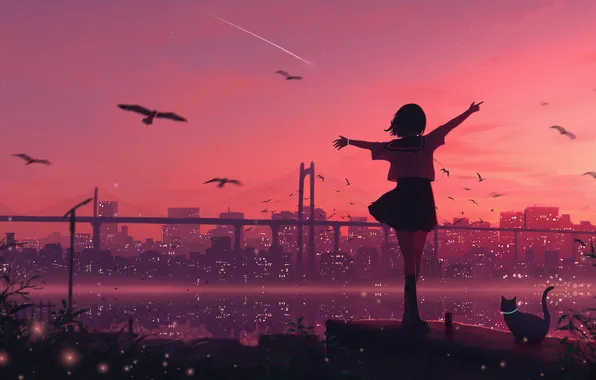 Sea, the sky, cat, girl, sunset, the city, seagulls, shooting star