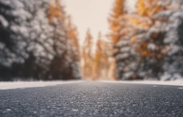 Picture road, background, color