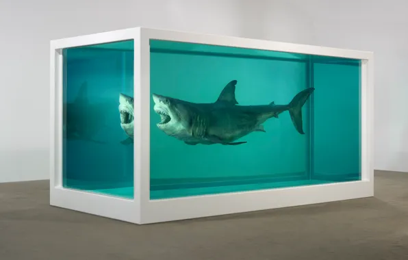 Picture Shark, formalin, Damien Hirst, The physical impossibility of death in soznanii living