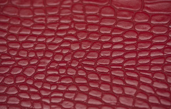 Picture macro, texture, leather