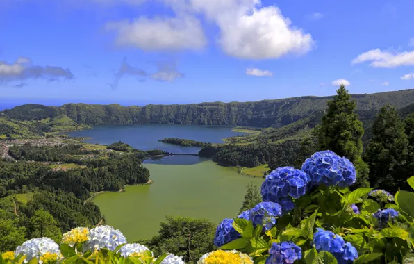 Flowers, mountains, lake, Portugal, Azores, the island of San Miguel