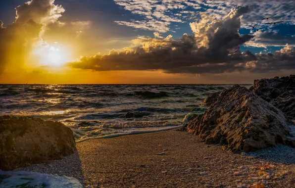 Sunset, Shore, Coast