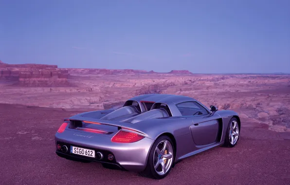 Porsche, Porsche, rear view, handsome, Porsche Carrera GT