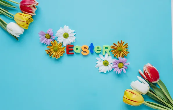 Flowers, Spring, Tulips, Easter, Letters, Holiday, Chrysanthemum