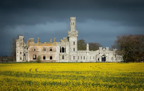 Field, trees, flowers, clouds, castle, yellow, architecture, rape
