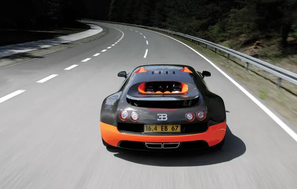 Picture road, car, machine, trees, speed, Bugatti Veyron, road, trees