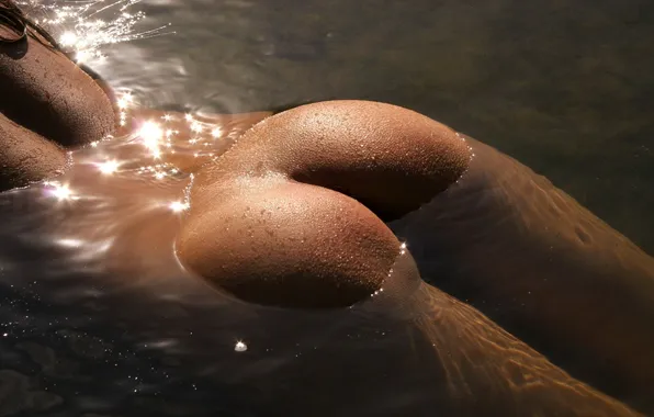 Ass, water, light