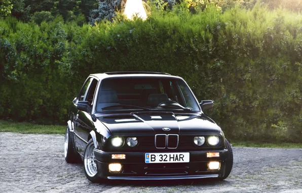 Black, BMW, BMW, black, the bushes, Coupe, E30, 3 Series