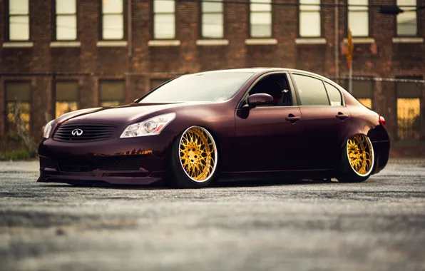 Picture car, auto, tuning, infiniti, stance, canibeat, infiniti G35x