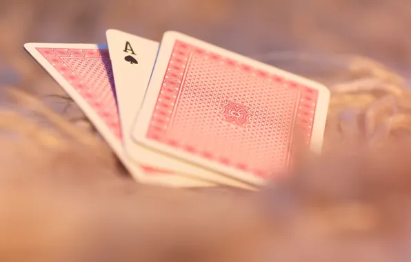 Card, macro, the game